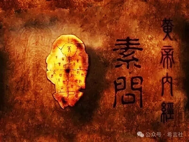 2026年