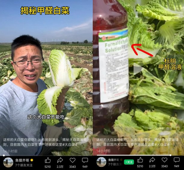 爱游戏体育在线专栏学者