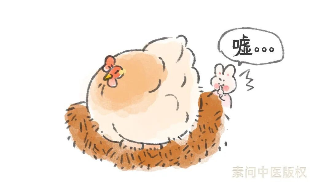 每天都在雨雨雨中度过