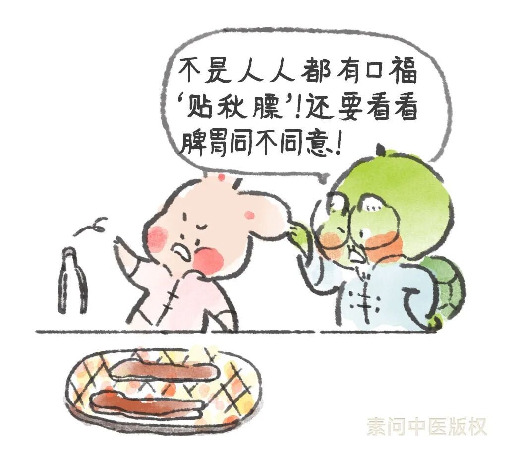 又来台风“白海豚”