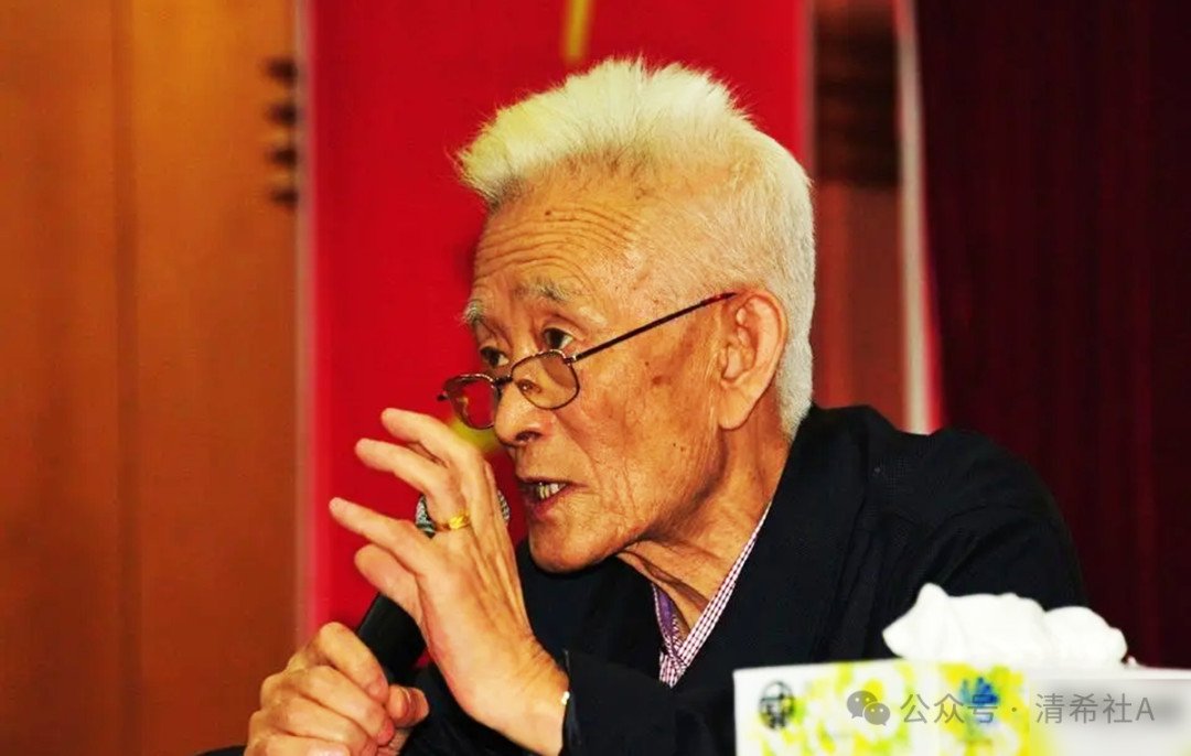 对话大医李可