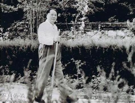同题参见”毛主席