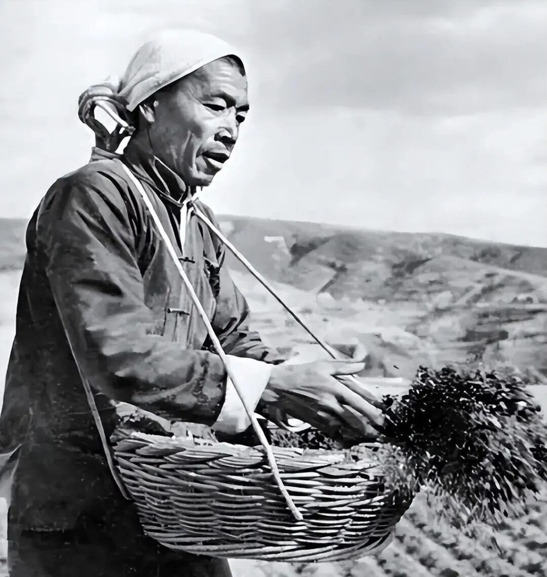 影响最大的是“浮夸风”