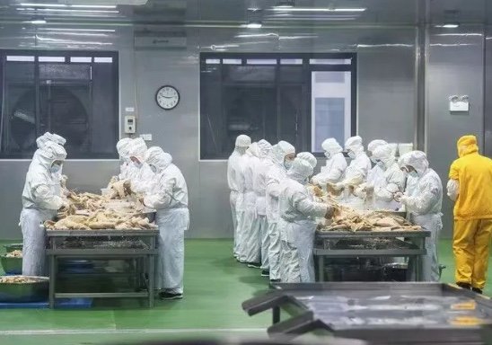 本页围绕「爱游戏体育在线APP玩法规