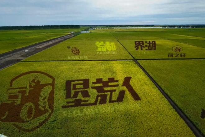 这或许是他多年来的习惯